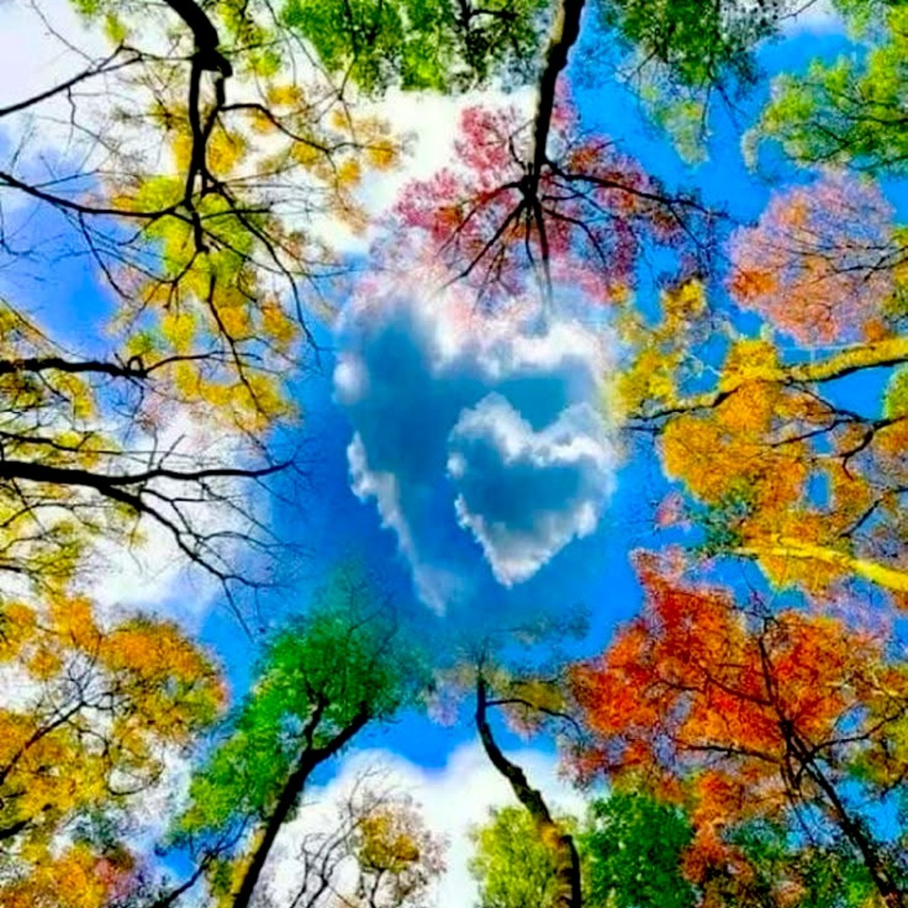 Meet your Posher, Willoughby